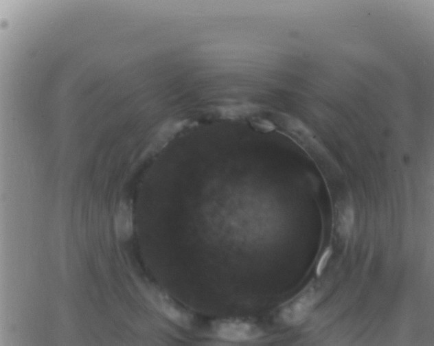 X0000062930471200601202031