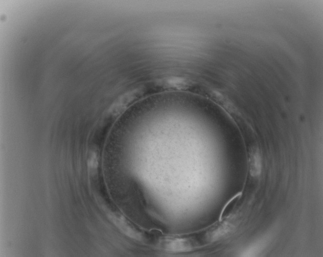 X0000062930472200601202031