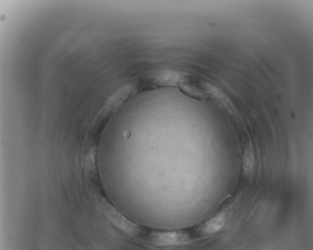 X0000062930473200601202031