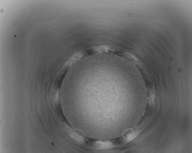 X0000062930477200601202031