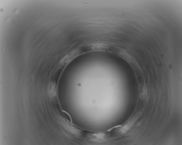 X0000062930478200601202031