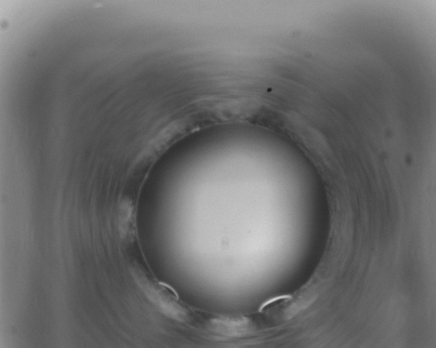 X0000062930480200601202031