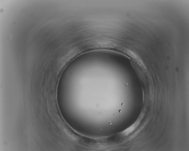 X0000062930481200601202031