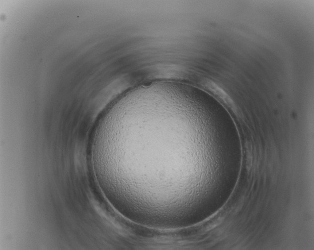 X0000062930482200601202030