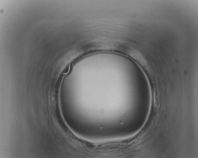 X0000062930483200601202030