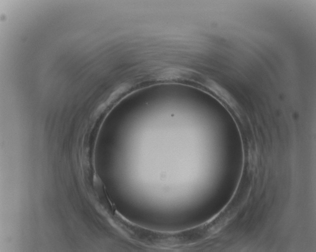 X0000062930485200601202030