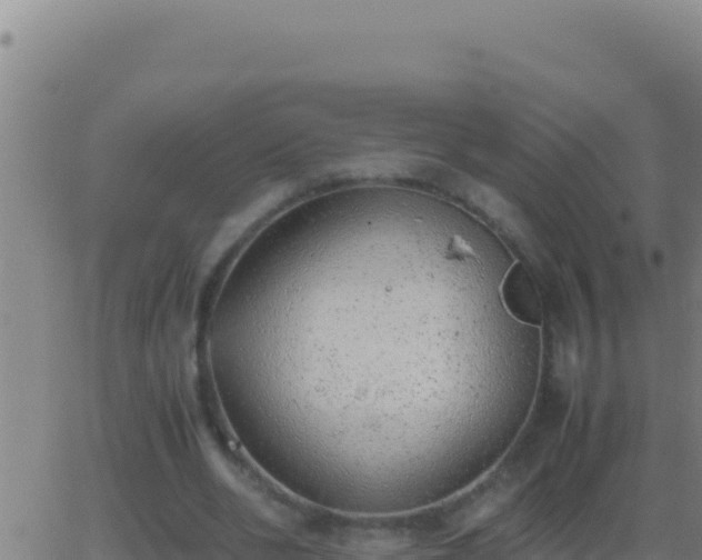 X0000062930486200601202030