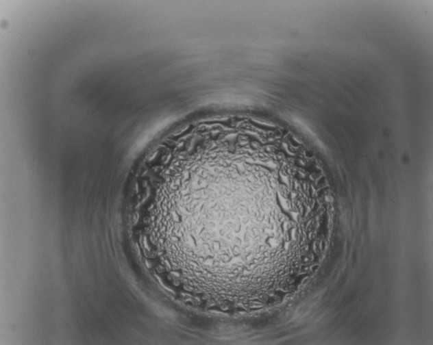 X0000062930487200601202030