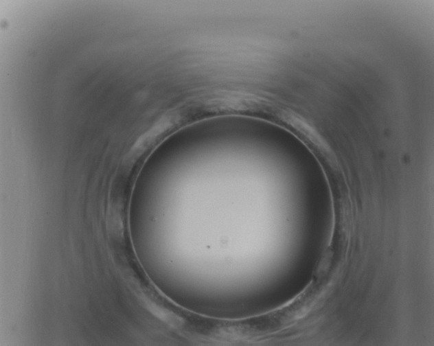 X0000062930489200601202030