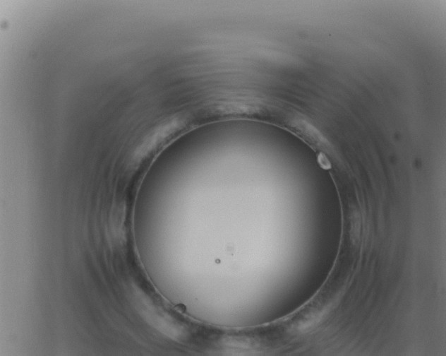 X0000062930490200601202030