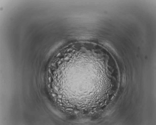 X0000062930491200601202030