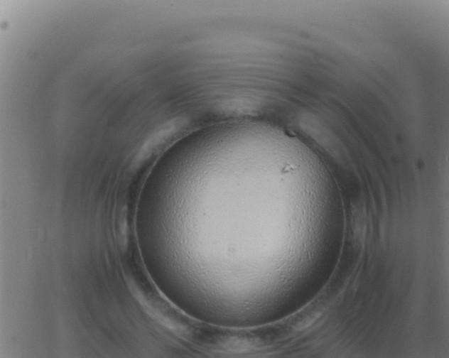 X0000062930494200601202030