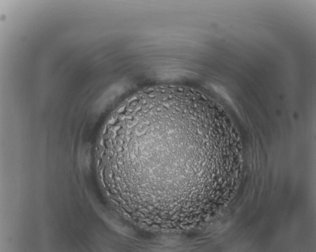 X0000062930495200601202030