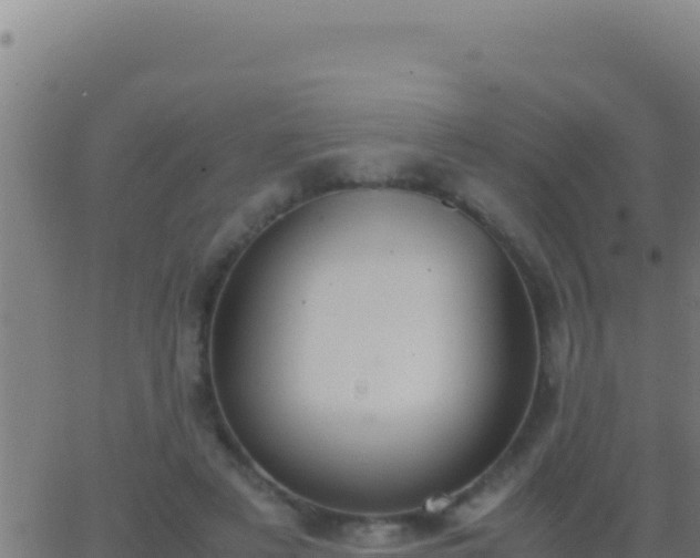 X0000062930497200601202030