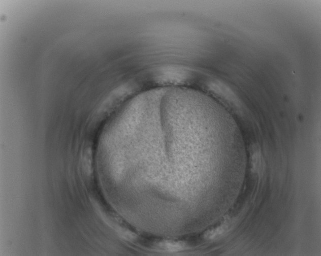 X0000062930498200601202030