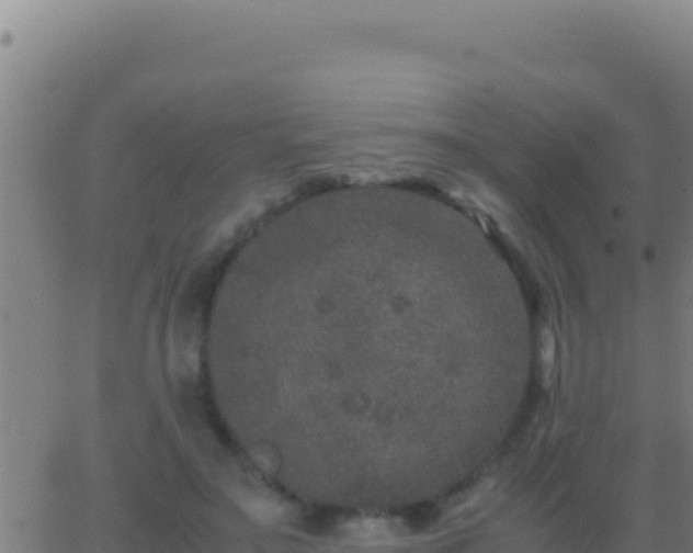 X0000062930499200601202030