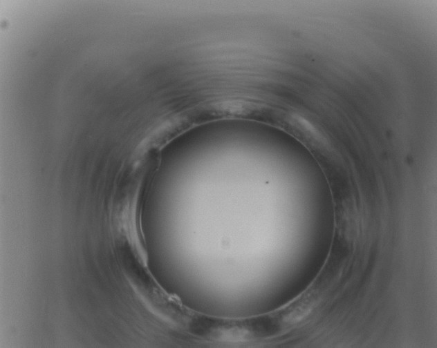 X0000062930500200601202030