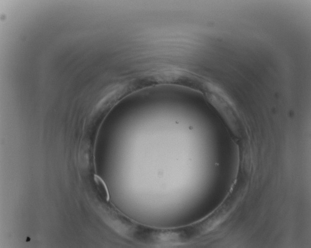 X0000062930501200601202030