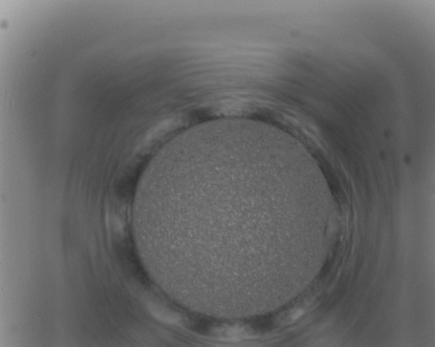 X0000062930503200601202030