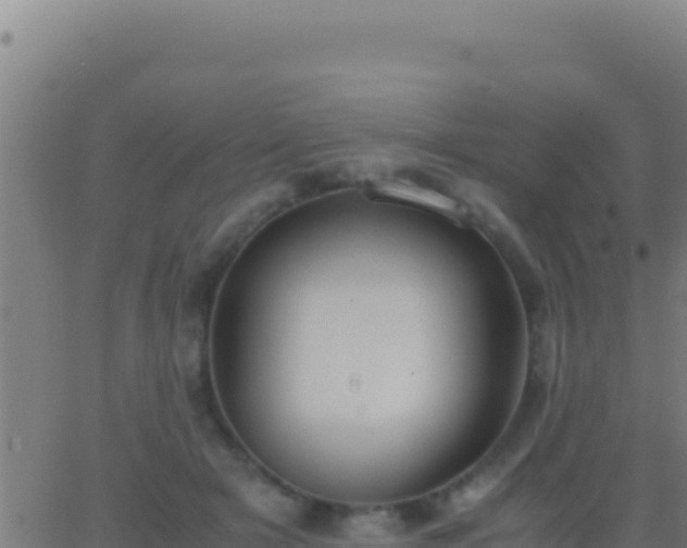 X0000062930505200601202030