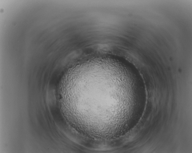 X0000062930506200601202030