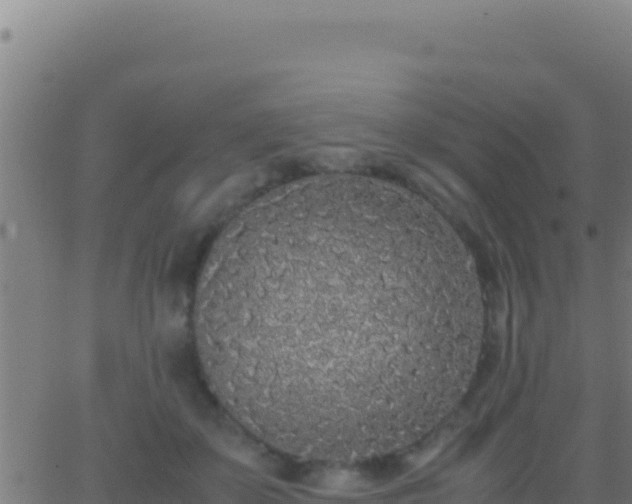 X0000062930507200601202030