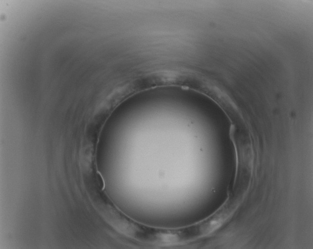 X0000062930509200601202030