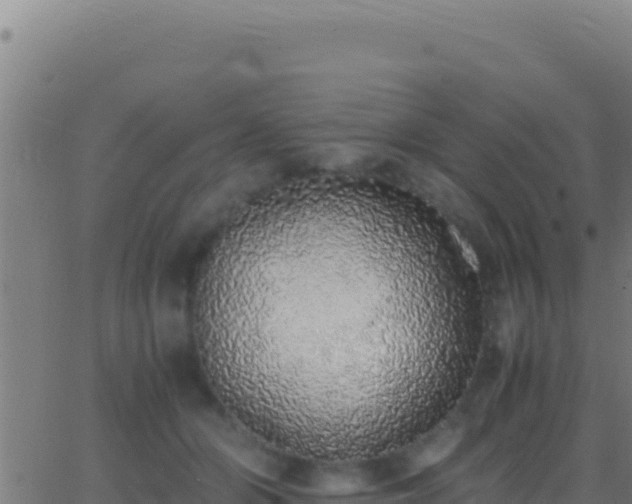 X0000062930510200601202030