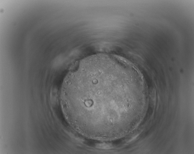 X0000062930511200601202030