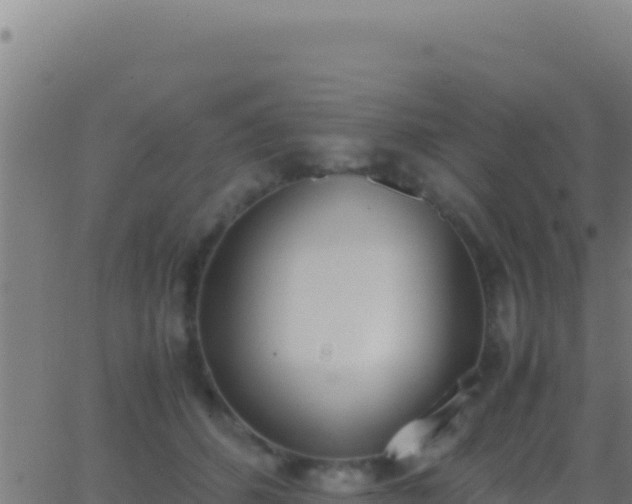 X0000062930512200601202030