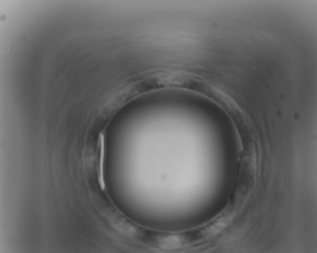 X0000062930513200601202030