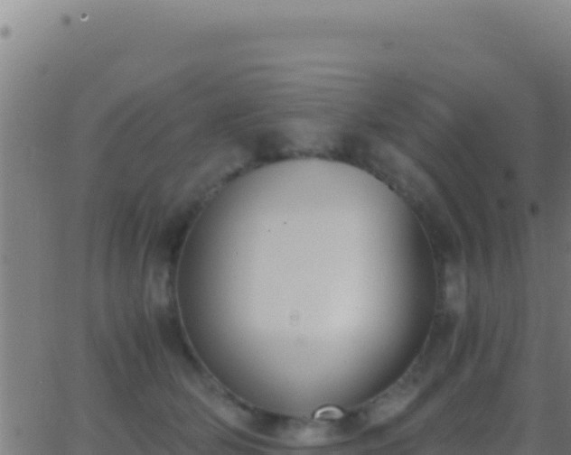 X0000062930514200601202030