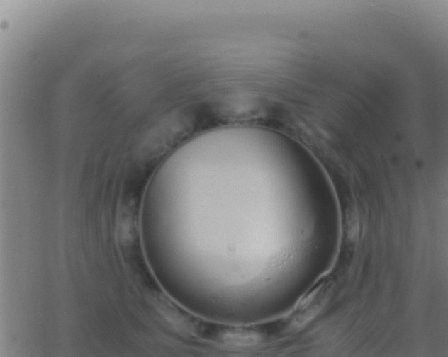 X0000062930515200601202030