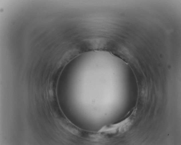 X0000062930516200601202030