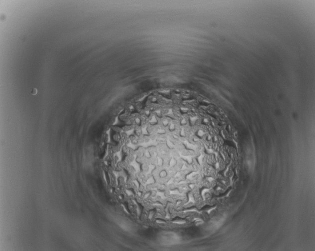 X0000062930519200601202030