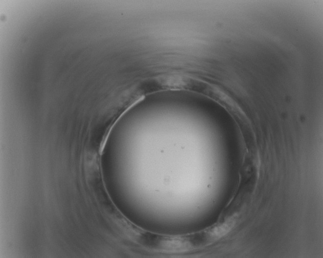 X0000062930521200601202030