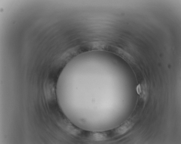 X0000062930522200601202030