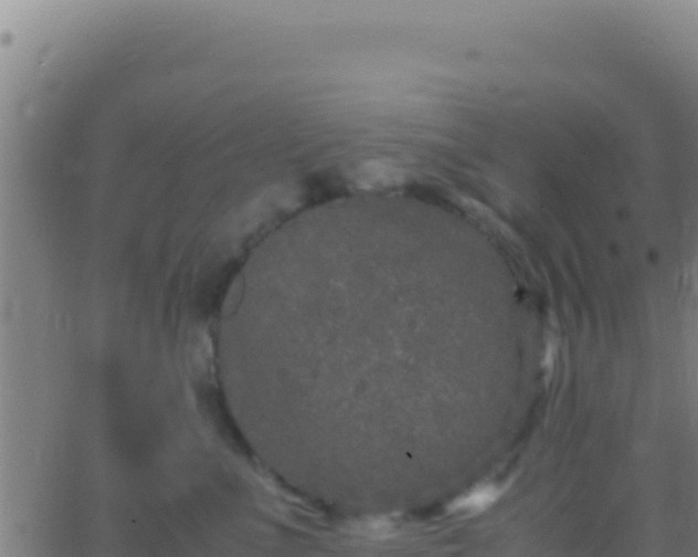 X0000062930523200601202030