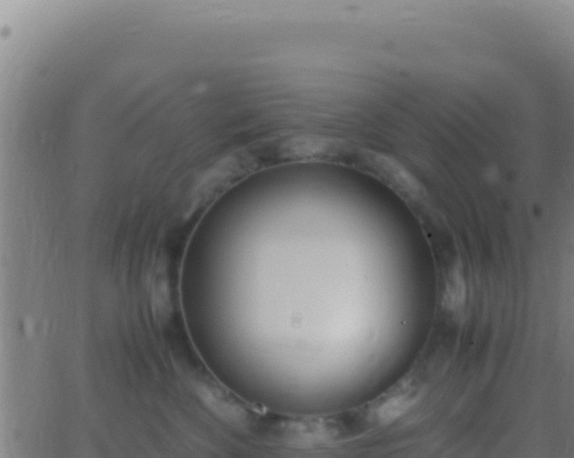 X0000062930524200601202030