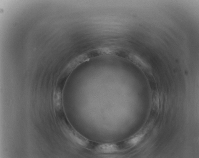 X0000062930526200601202030