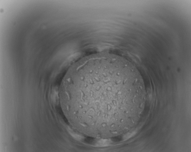 X0000062930527200601202030