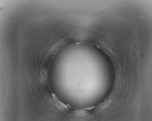 X0000062930528200601202030