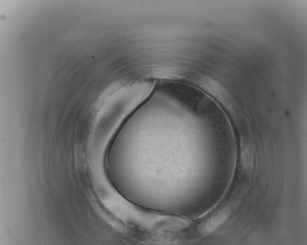 X0000062930530200601202029