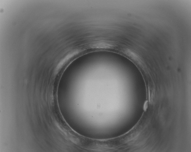 X0000062930531200601202029