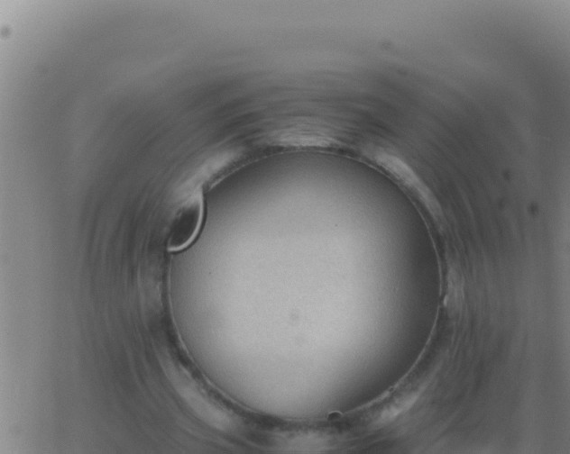 X0000062930533200601202029