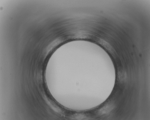 X0000062930534200601202029