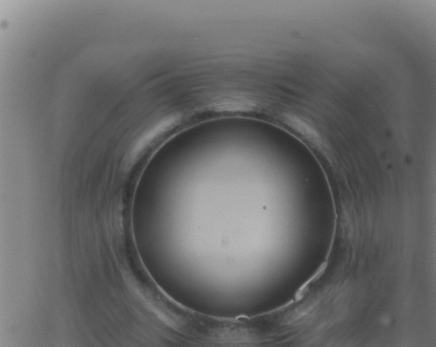 X0000062930535200601202029