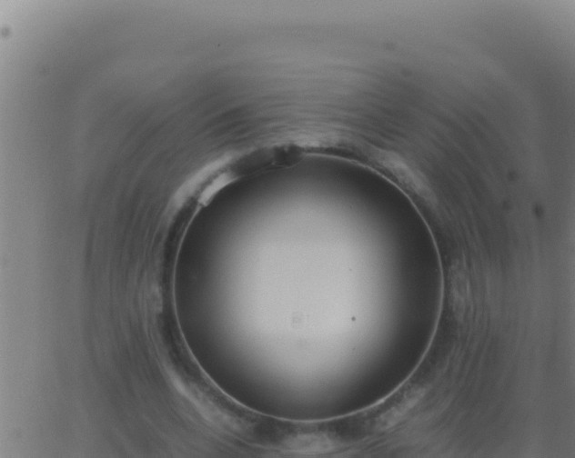 X0000062930536200601202029