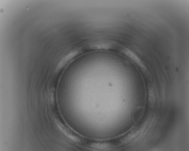 X0000062930537200601202029