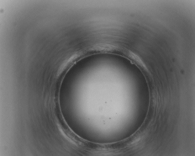 X0000062930538200601202029